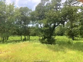 10079 Hampton Ct, Iola, TX 77861 photo 7