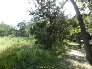 10079 Hampton Ct, Iola, TX 77861 photo 19