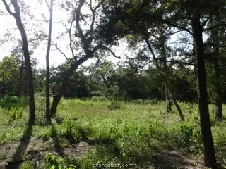 10079 Hampton Ct, Iola, TX 77861 photo 14