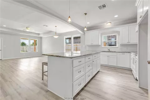 3685 Rabbit Ln, Bryan, TX 77807 photo 9