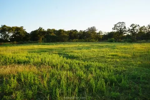 1177 Cazey Loop, Franklin, TX 77856 photo 15