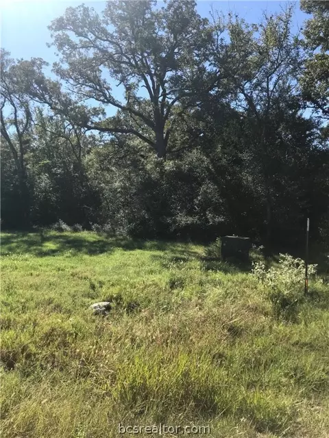 9040 Green Br, Bryan, TX 77808 photo 10