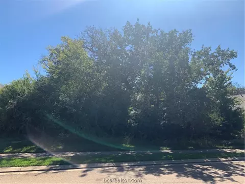 3216 Walnut Creek Ct, Bryan, TX 77807 photo 6