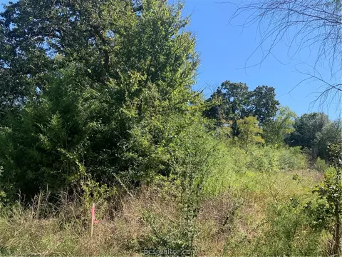 3216 Walnut Creek Ct, Bryan, TX 77807 photo 4