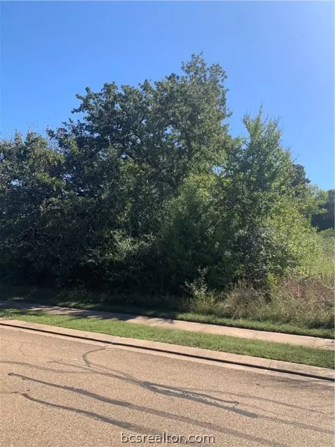 3216 Walnut Creek Ct, Bryan, TX 77807 photo 3