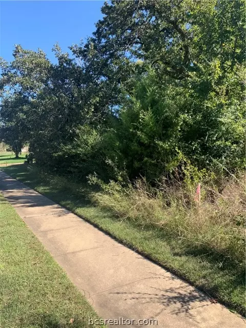 3216 Walnut Creek Ct, Bryan, TX 77807 photo 5