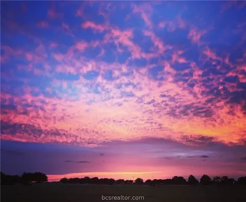 6699 Ethan Ln, Bryan, TX 77808 photo 31