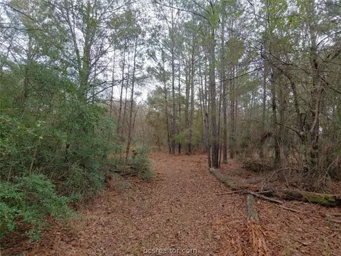 Tbd Cr 231, Shiro, TX 77876