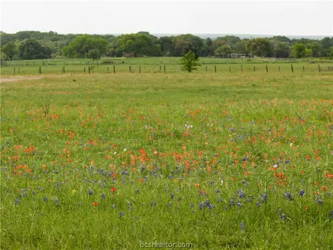 4808 Fm 390 Farm To Market Rd E, Brenham, TX 77833 photo 9