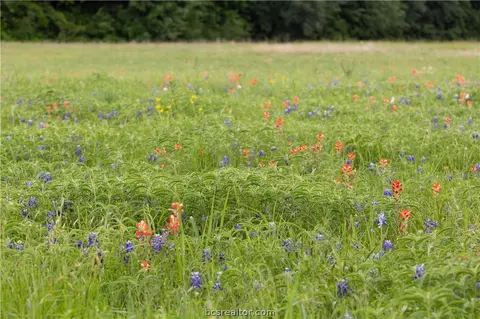 4808 Fm 390 Farm To Market Rd E, Brenham, TX 77833 photo 10