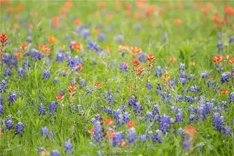 4808 Fm 390 Farm To Market Rd E, Brenham, TX 77833 photo 11