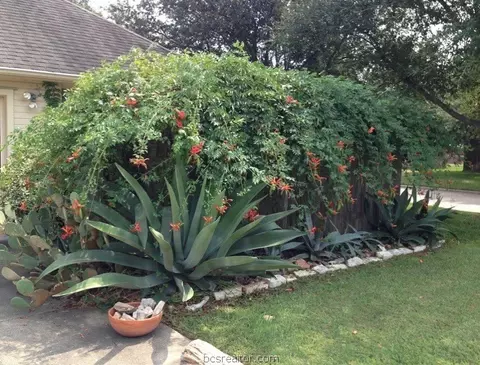 1500 Bennett St, Bryan, TX 77802 photo 20