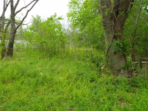 5 Wood Rd, Trinity, TX 75862 photo 3