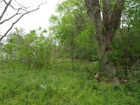 5 Wood Rd, Trinity, TX 75862 photo 21