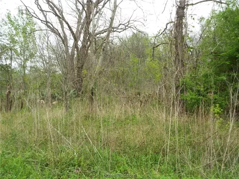 5 Wood Rd, Trinity, TX 75862 photo 15