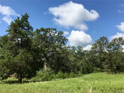 10147 Albert Dr, Iola, TX 77861 photo 5