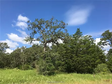 10147 Albert Dr, Iola, TX 77861 photo 2