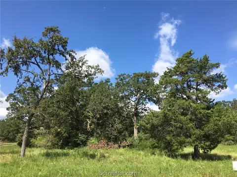 10147 Albert Dr, Iola, TX 77861 photo 6