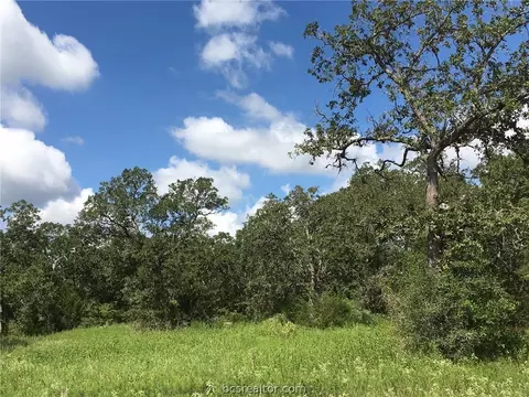 10147 Albert Dr, Iola, TX 77861 photo 3