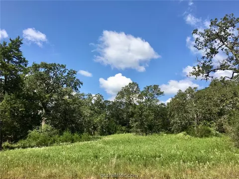 10147 Albert Dr, Iola, TX 77861 photo 1