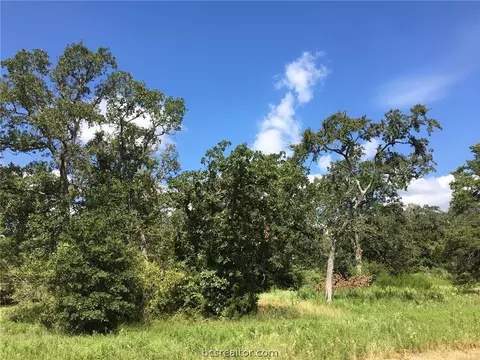 10147 Albert Dr, Iola, TX 77861 photo 8