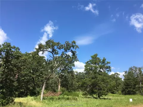 10147 Albert Dr, Iola, TX 77861 photo 7
