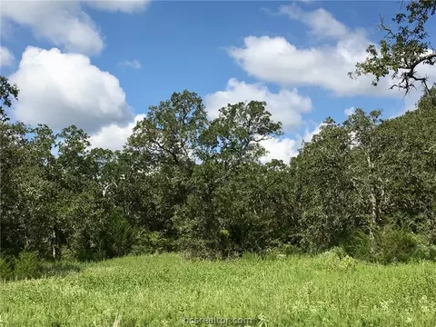10147 Albert Dr, Iola, TX 77861 photo 4