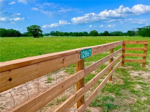 12867 Della Love Rd, Bryan, TX 77808 photo 8