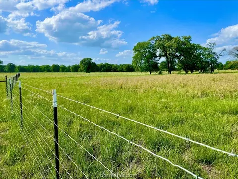 12933 Della Love Rd, Bryan, TX 77808 photo 5