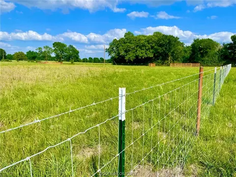 12933 Della Love Rd, Bryan, TX 77808 photo 7