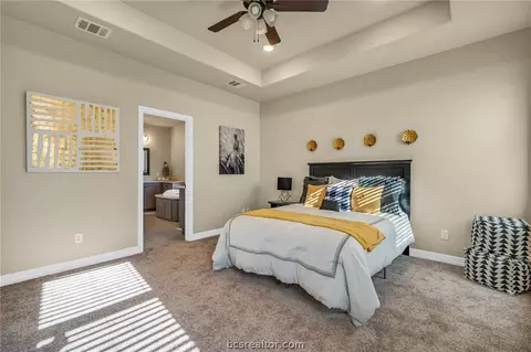 2911 Captain Ct, Bryan, TX 77808 photo 17