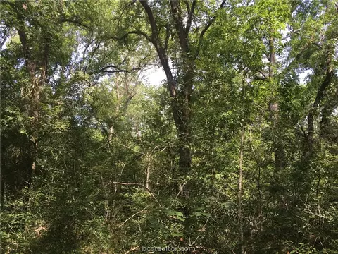 6333 Dogwood Dr, Bryan, TX 77807 photo 5