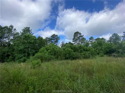 42 8 Acres Reids Prairie Rd, Waller, TX 77484