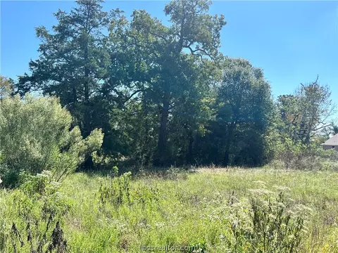 0000 Bedford Ct, Iola, TX 77861