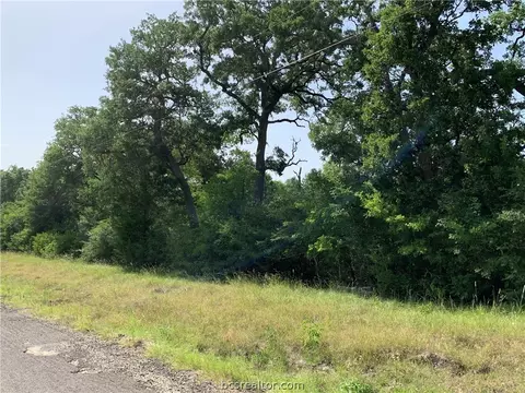12488 Roese Rd, Iola, TX 77861 photo 6