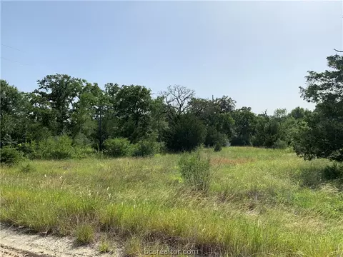 12488 Roese Rd, Iola, TX 77861 photo 16