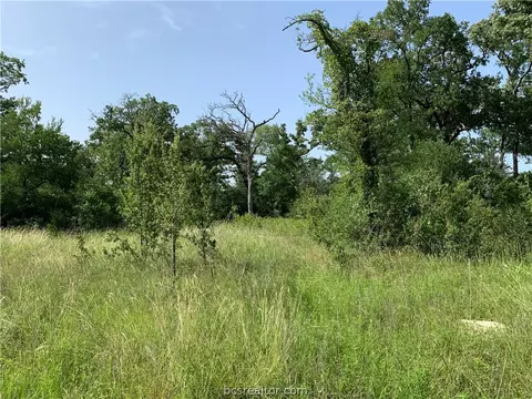 12488 Roese Rd, Iola, TX 77861 photo 14
