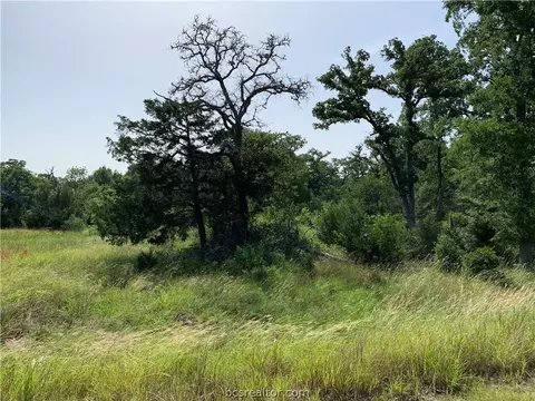 12488 Roese Rd, Iola, TX 77861 photo 15