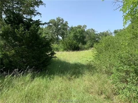 12488 Roese Rd, Iola, TX 77861 photo 8