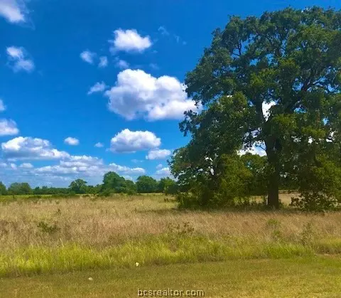 10092 Henley Cv, Iola, TX 77861