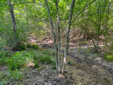 7944 Prospect Ln, Bryan, TX 77808 photo 19