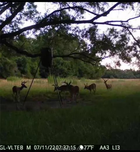10884 Jackrabbit Ln, Bryan, TX 77808 photo 46