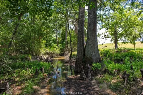 10884 Jackrabbit Ln, Bryan, TX 77808 photo 44