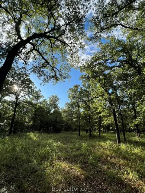7416 W Fm 1644, Calvert, TX 77837