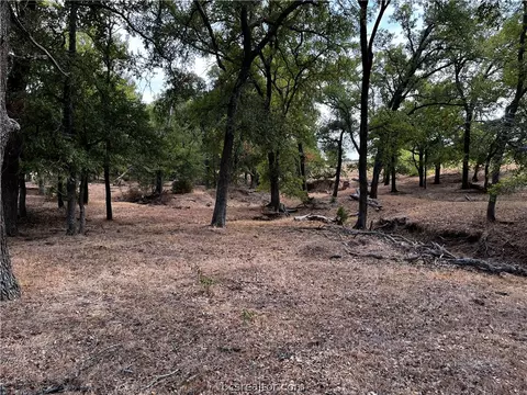 Tbd South Hickory Loop, Calvert, TX 77837 photo 20