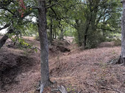 Tbd South Hickory Loop, Calvert, TX 77837 photo 21