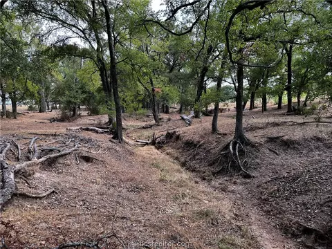 Tbd South Hickory Loop, Calvert, TX 77837 photo 22
