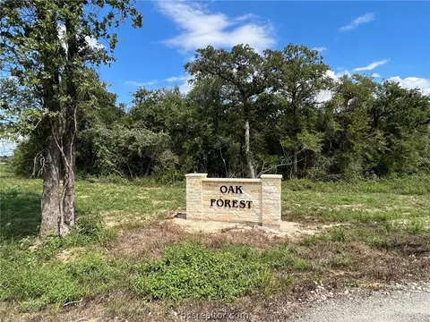 Tract 1 Sawmill Road, Franklin, TX 77856