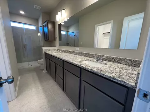 15315 Still Water Meadow Loop, College Station, TX 77845 photo 15