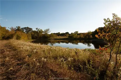 Tbd County Road 319, Navasota, TX 77868